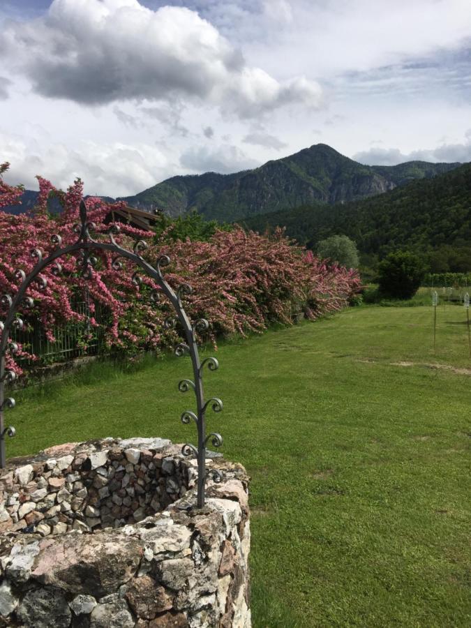 Paradiso Sul Lago カルチェラーニカ・アル・ラーゴ エクステリア 写真