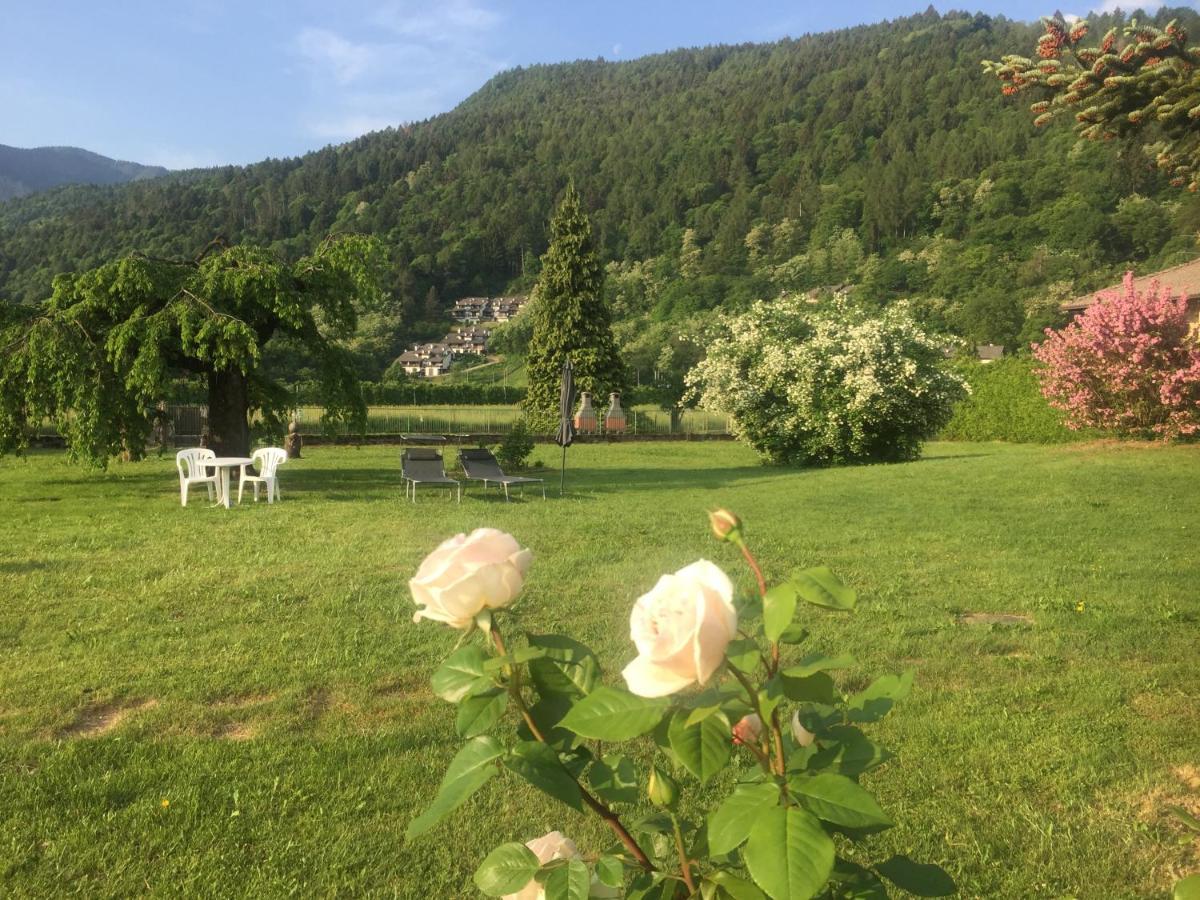 Paradiso Sul Lago カルチェラーニカ・アル・ラーゴ エクステリア 写真