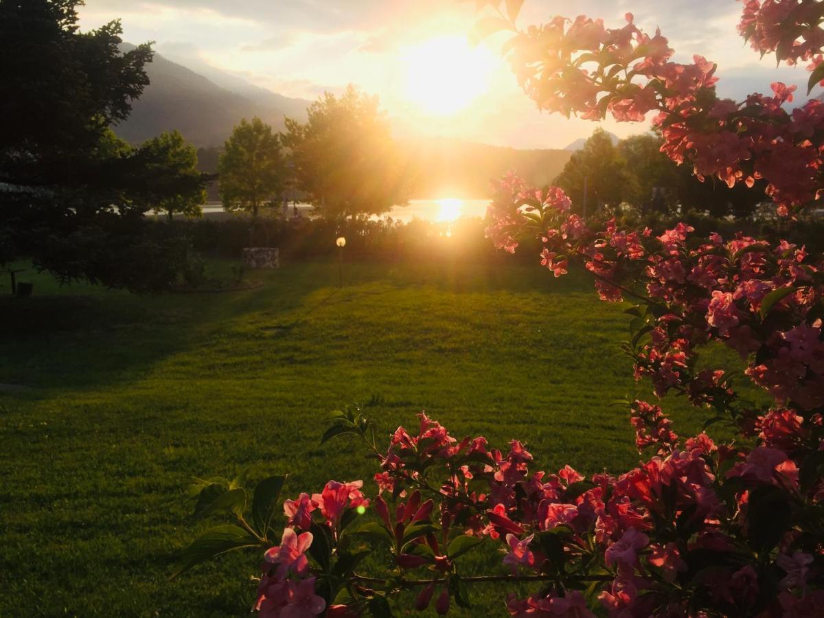 Paradiso Sul Lago カルチェラーニカ・アル・ラーゴ エクステリア 写真